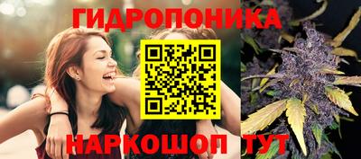 a pvp Кунгур