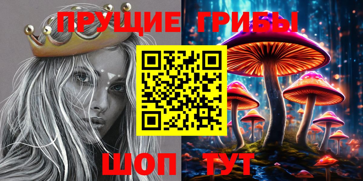 Псилоцибиновые грибы Cubensis  Вход с VPN  Ковров 