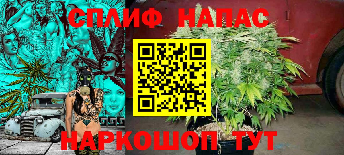 Марихуана семена Ковров